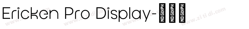 Ericken Pro Display字体转换